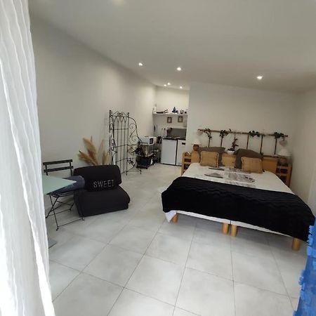 Studio Independant Dans Villa, Parking Gratuit. Castelnau-le-Lez Exteriér fotografie